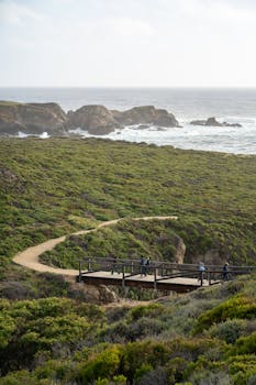 A breathtaking view of a coastal path in Big Sur, California, surrounded by lush greenery and ocean vistas.