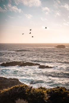 A breathtaking view of the ocean waves and birds at Big Sur, California during sunset.