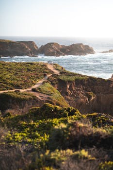 Explore the stunning coastal views and rugged cliffs of Big Sur's beautiful landscapes.