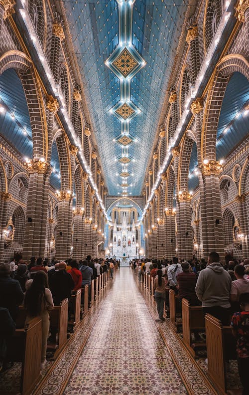 Basílica Da Imaculada Conceição (Jardín)