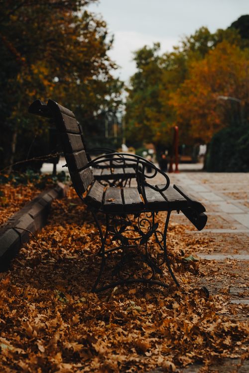 Free Empty park bench surrounded by colorful autumn leaves in Ankara, Türkiye. Stock Photo