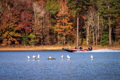 Photo of a Lake in Autumn 
