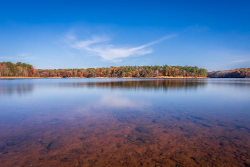 Scenic Landscape of a Lake in Autumn 