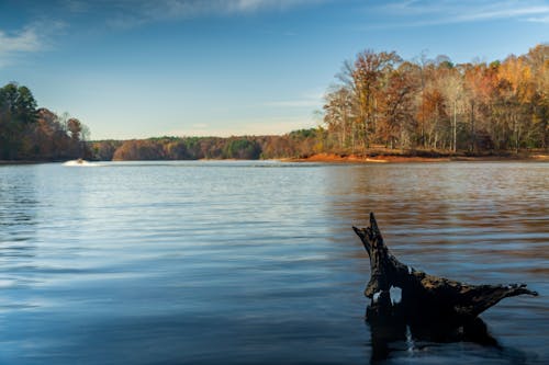 Lake in Autumn