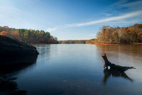 Lake with Forest around