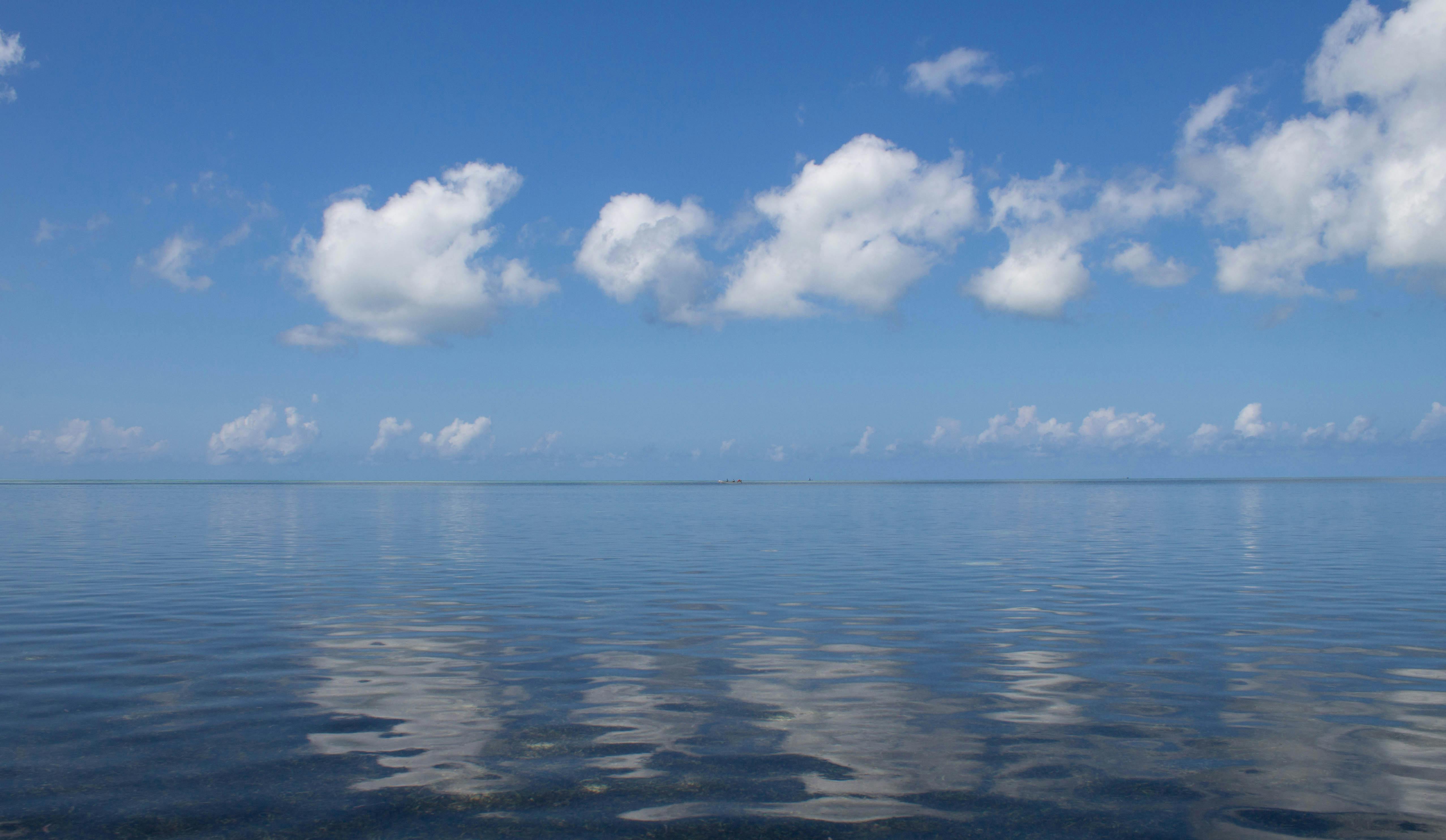 A More Troubling Picture of Sea Level Rise Is Coming into View — Photo by Mimi on Pexels