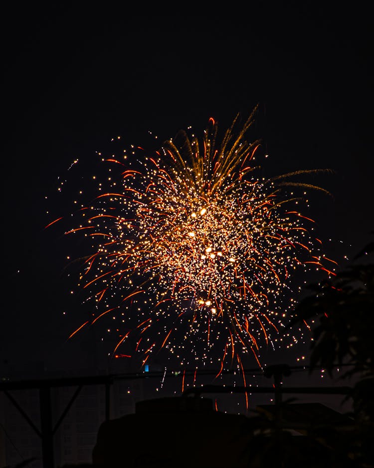 Fireworks At Night