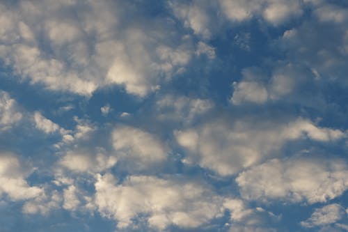 Foto profissional grátis de altocumulus, azul, branco