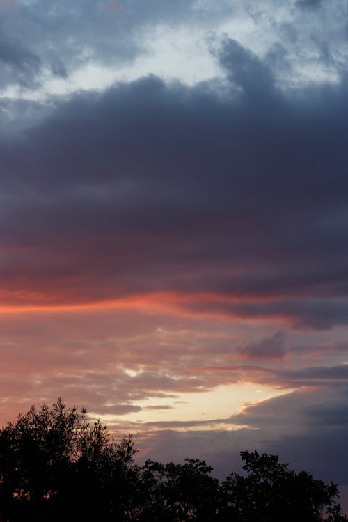 Foto profissional grátis de céu, cor-de-rosa, nuvens