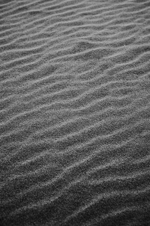Black and White Photo of Wrinkles on Sand