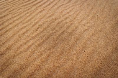Rippled dune sand in warm light — photo by Jonathan Borba on Pexels