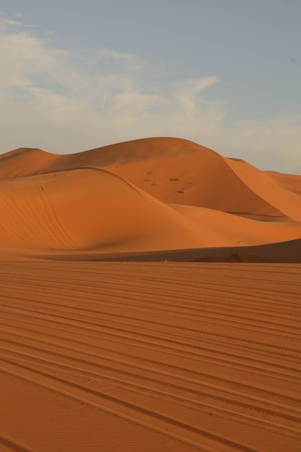 Stunning view of golden desert dunes in Marrakesh, Morocco, capturing natural beauty and tranquility.