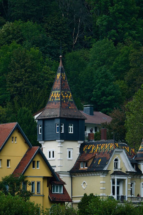 Traditional Houses with Patterned Roof Tiles 