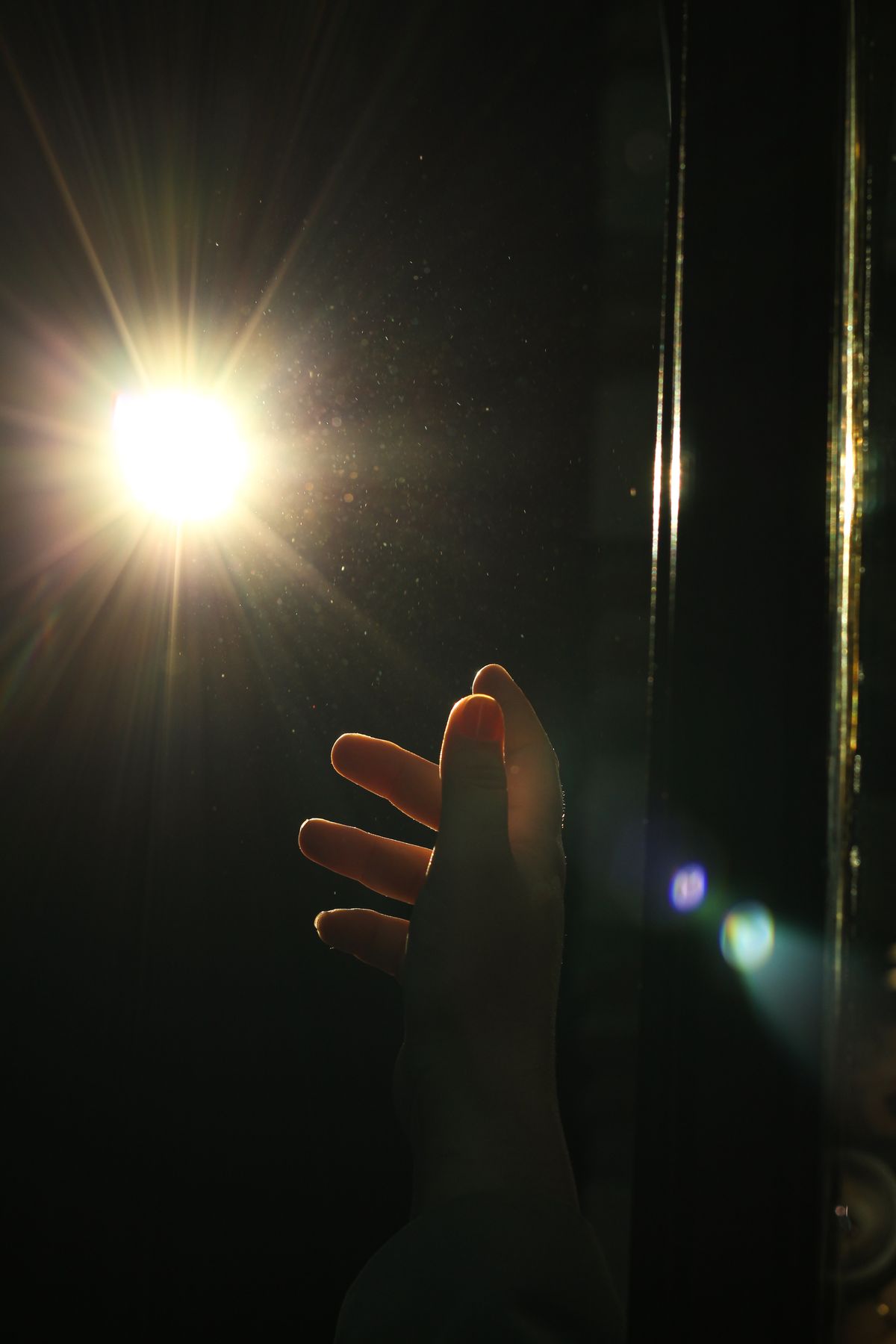 Hand Backlit Free stock photo of abstract, artistic, backlit, bright light, color ...