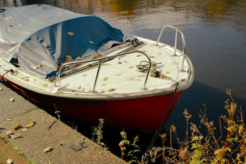 Imagine de stoc gratuită din ancorat, apă, barcă cu motor