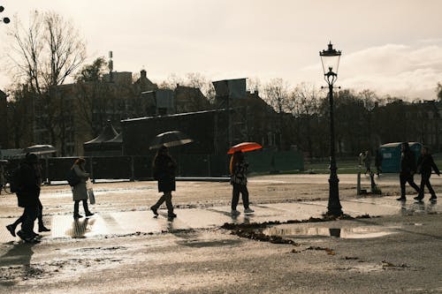 kırmızı şemsiye, şemsiye, soğuk hava içeren Ücretsiz stok fotoğraf