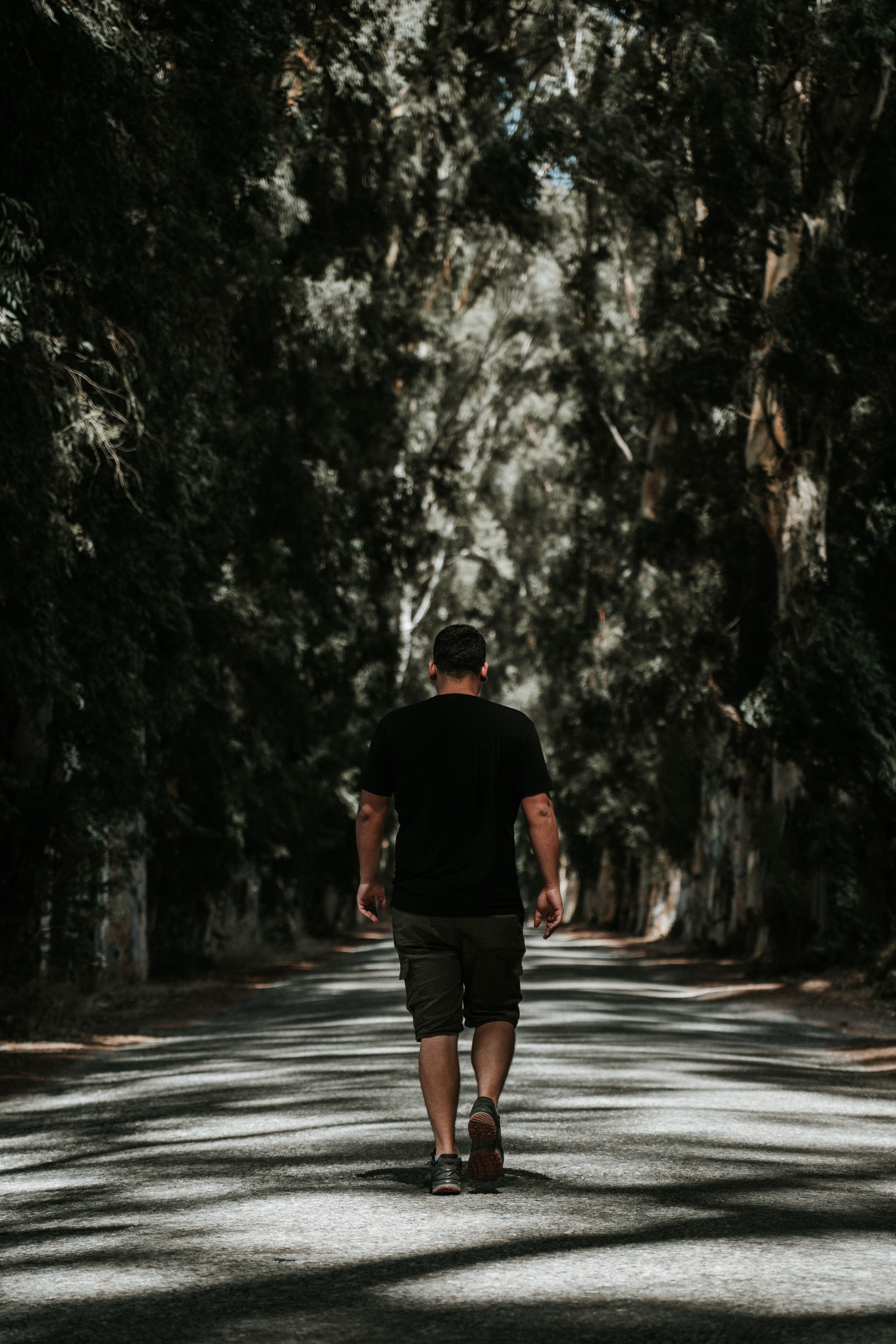 Man Walking in a Park · Free Stock Photo