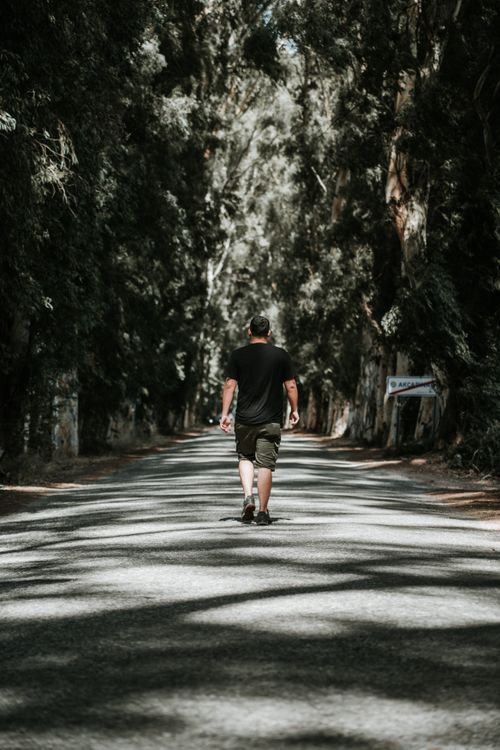 Free A man strolls down a sunlit road surrounded by dense forest trees. Stock Photo