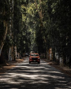 A red SUV navigating a scenic forest road lined with tall trees in a rural setting.