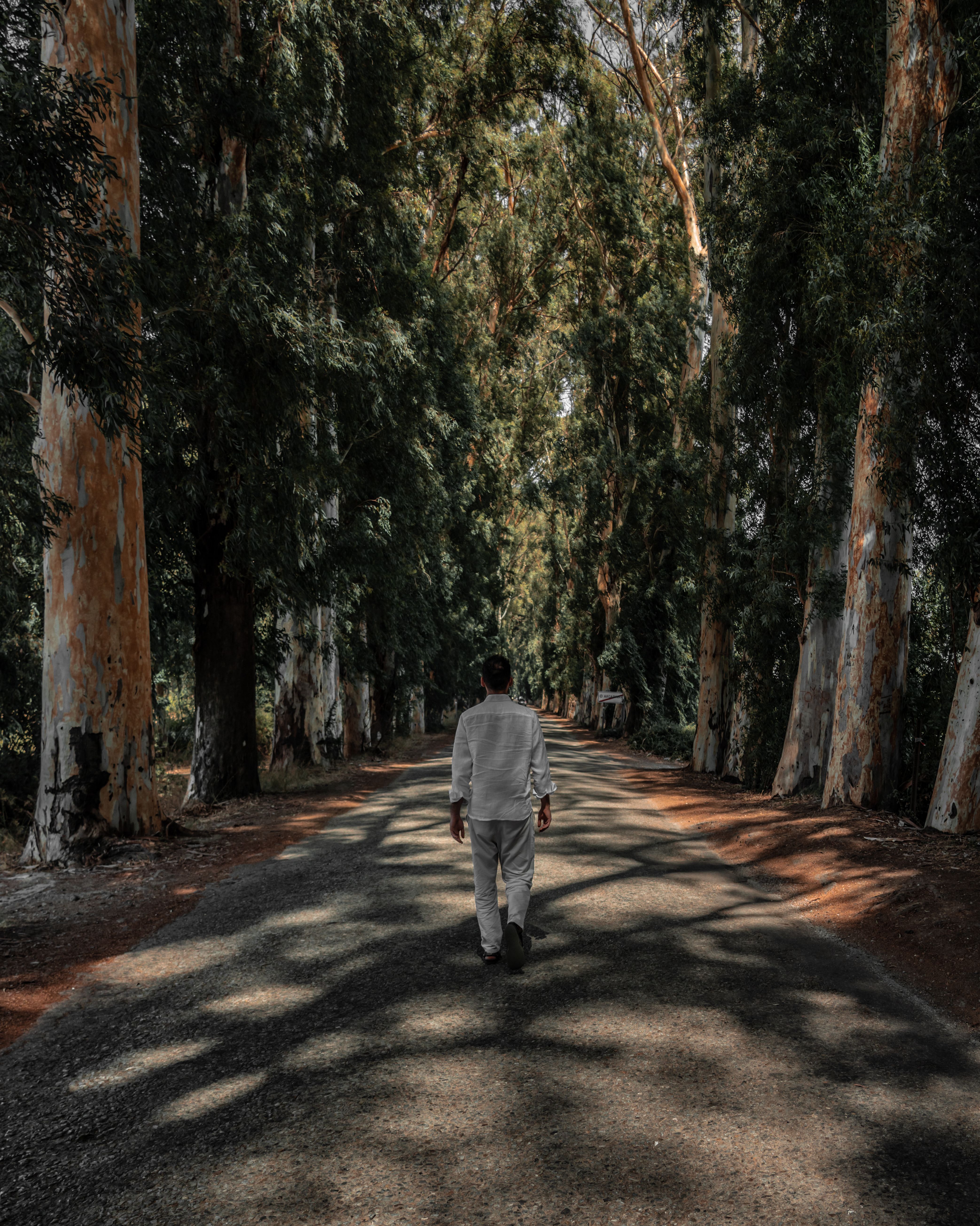 Back View of a Man Walking on a Road · Free Stock Photo