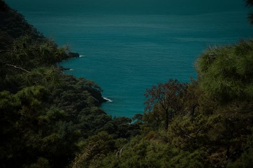 Free A tranquil view of dense forest vegetation leading to a stunning blue sea coastline. Stock Photo