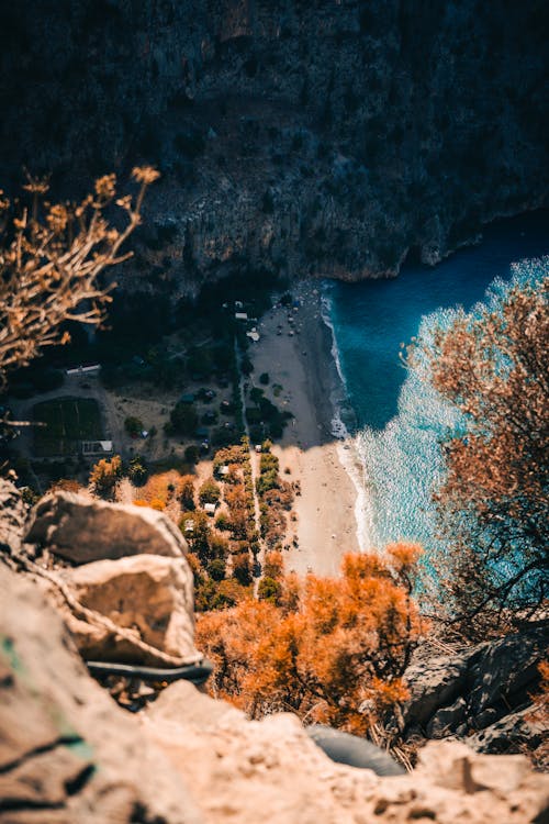 Foto profissional grátis de árvores, baía, colina