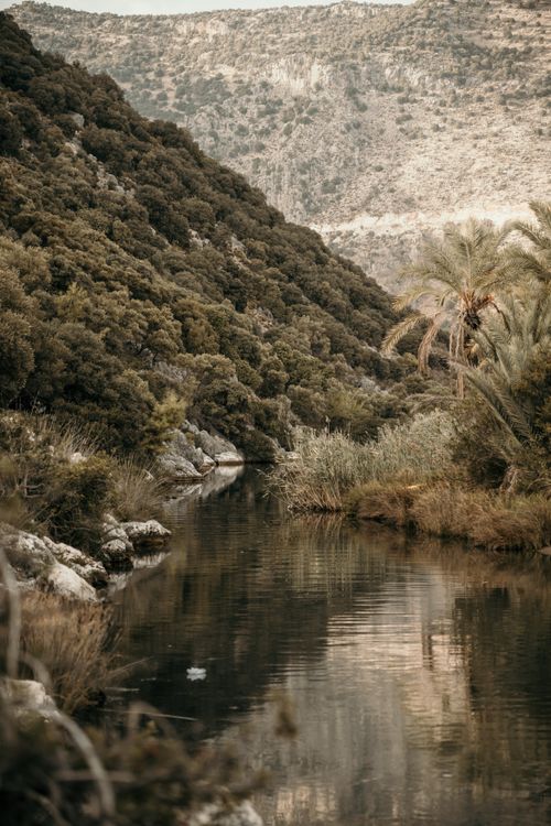 Free A serene river flowing through a lush valley surrounded by rocky hills and plants. Stock Photo