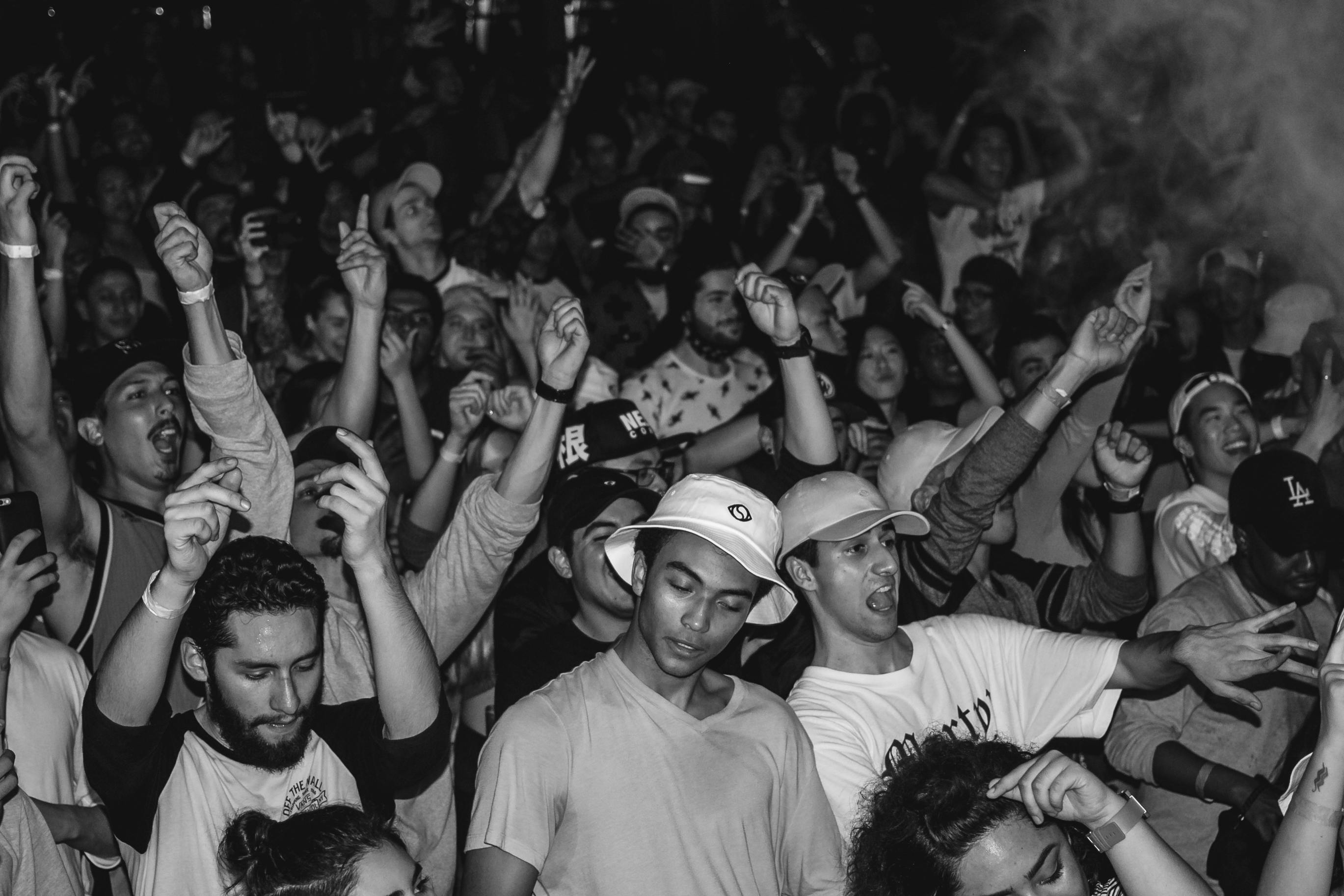 Free stock photo of black and white, concert, crowd