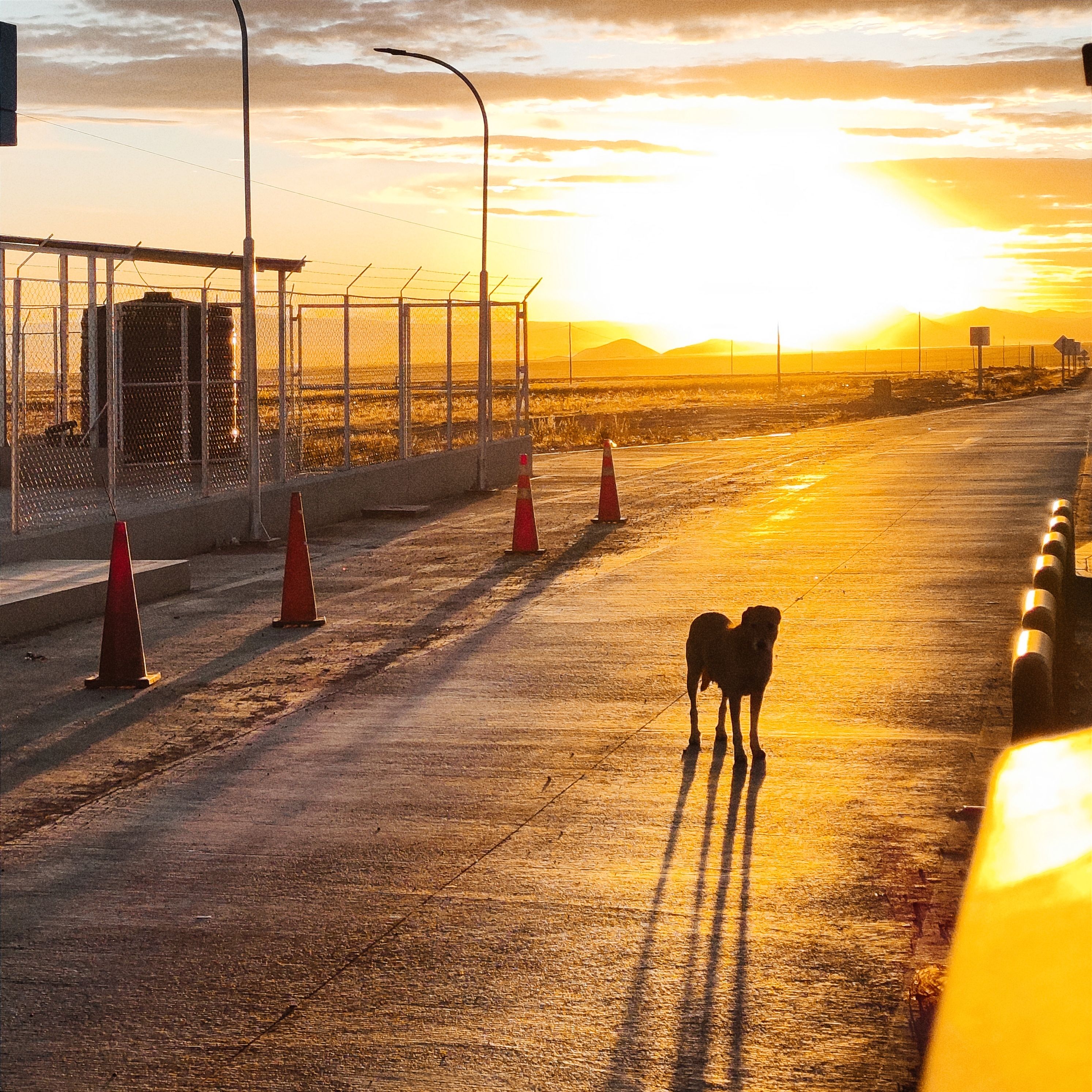Road During Sunset