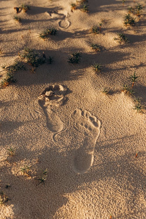 Footprints on a Beach 