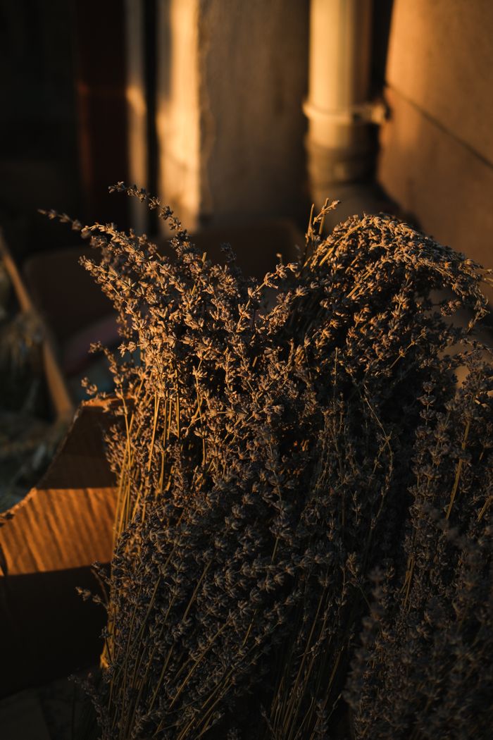 Bundle of dried lavender in low golden light, by Sueda Dilli on Pexels