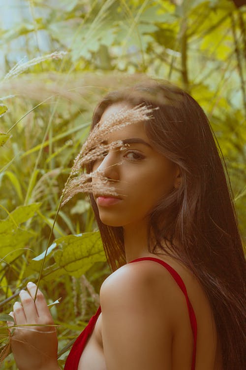 갈색 머리, 나뭇잎, 모델의 무료 스톡 사진