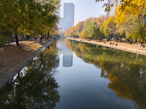 Free 秋湖 Stock Photo