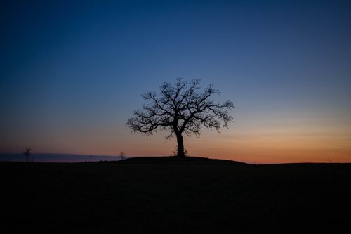 Free A solitary tree stands silhouetted against a colorful sunset sky, evoking solitude and beauty. Stock Photo
