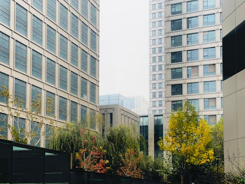 Facade of Office Buildings in City