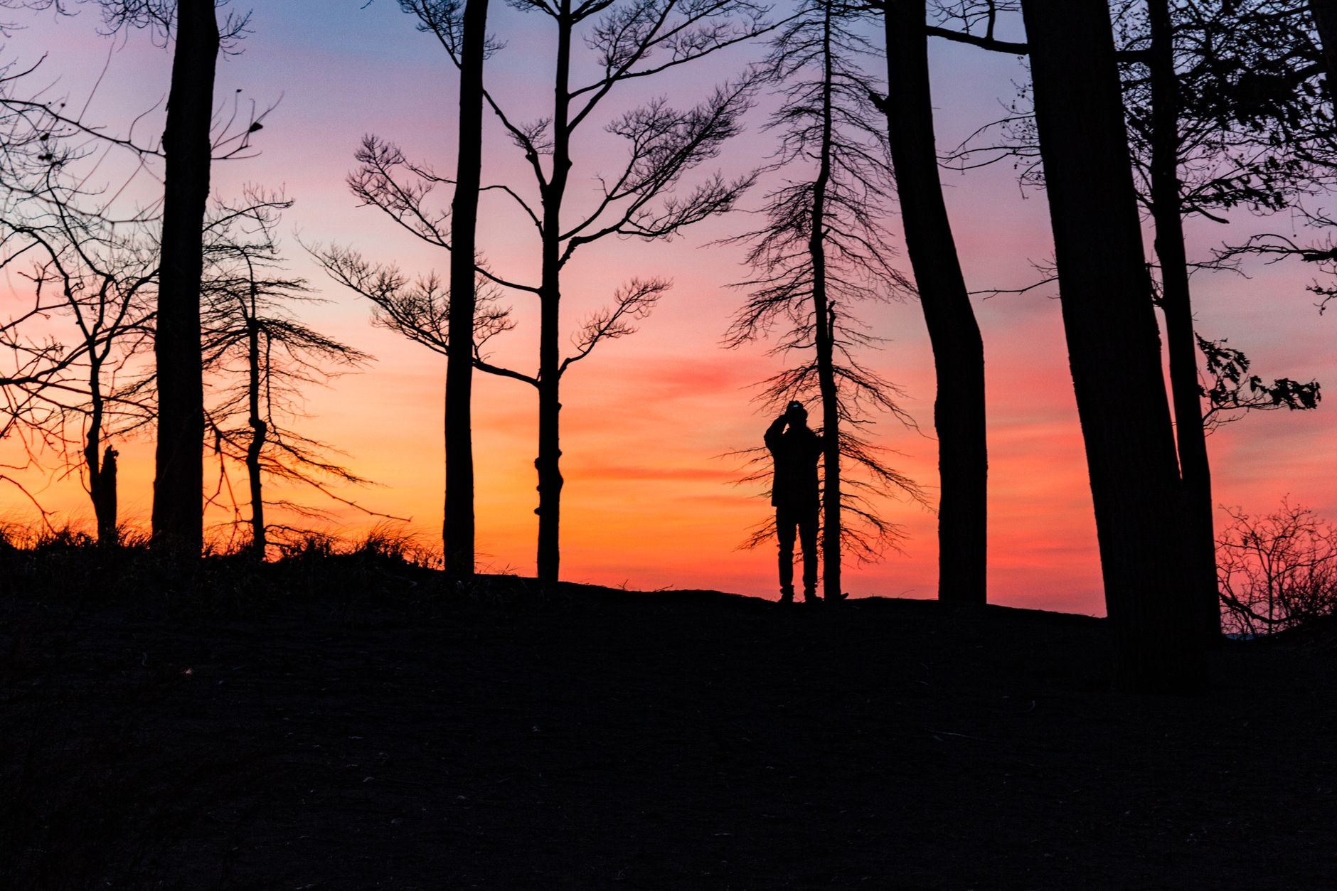 A silhouette of a person among trees with a vibrant sunset sky in the background.. silhouette, person, among