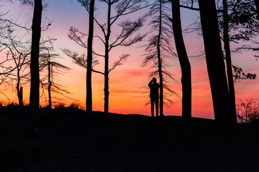 A silhouette of a person among trees with a vibrant sunset sky in the background.. silhouette, person, among