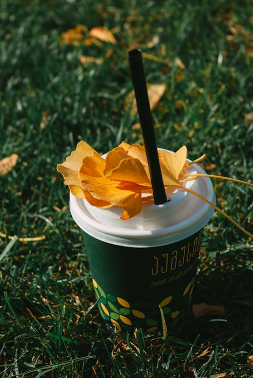 Yellow Leaves on a Disposable Cup 