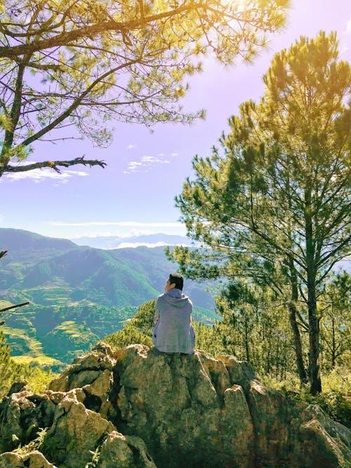 Foto profissional grátis de capuz, mãe natureza, natureza