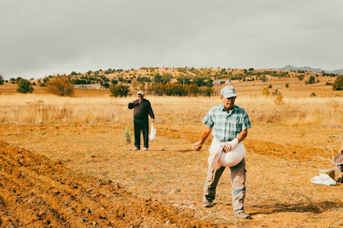 Fotos de stock gratuitas de agricultor, agricultura, campo