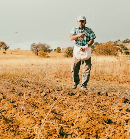 A Man Working in a Field