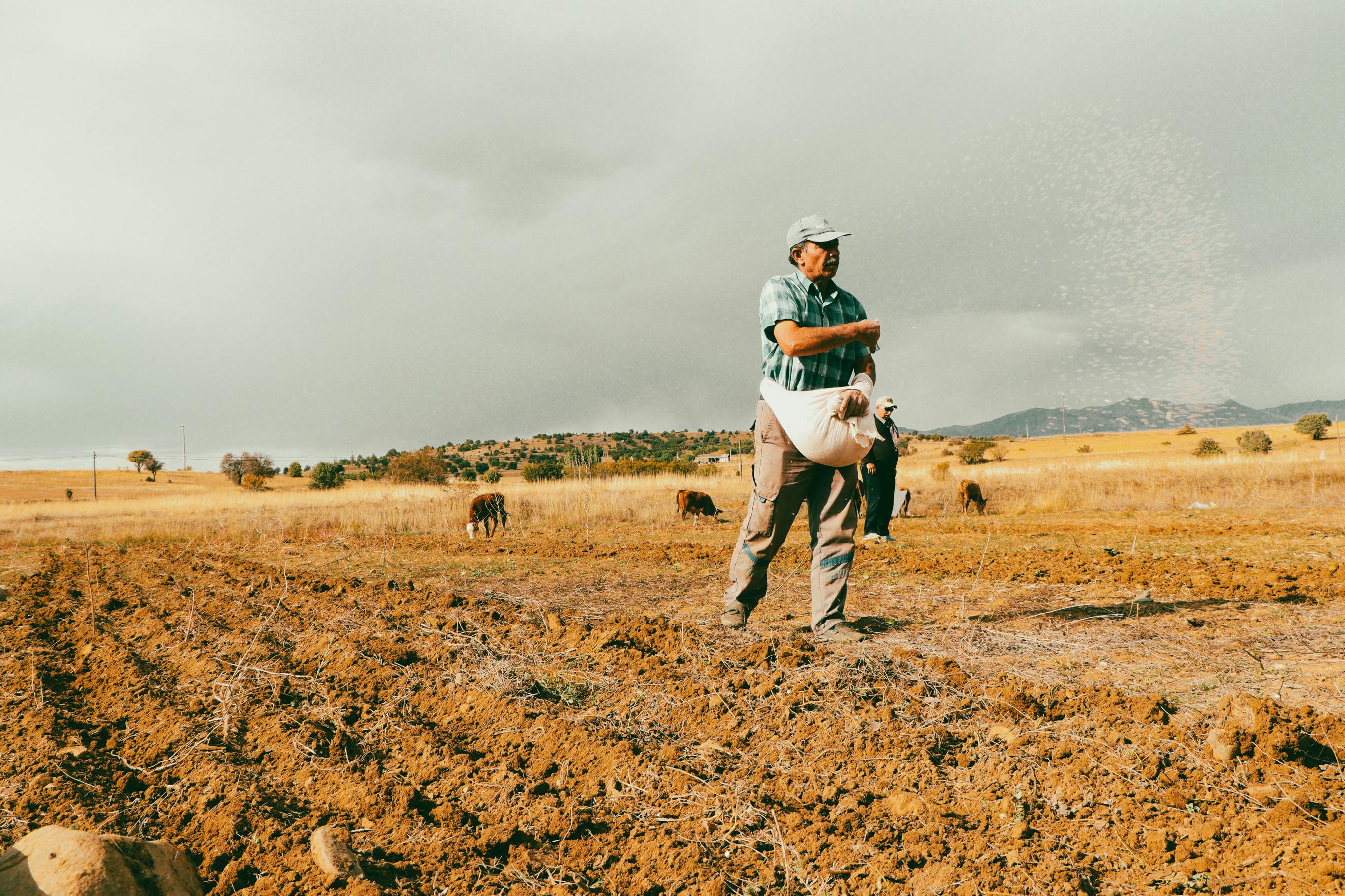 Many farmers utilize life insurance for farm financing — Photo by Beyza Yalçın on Pexels