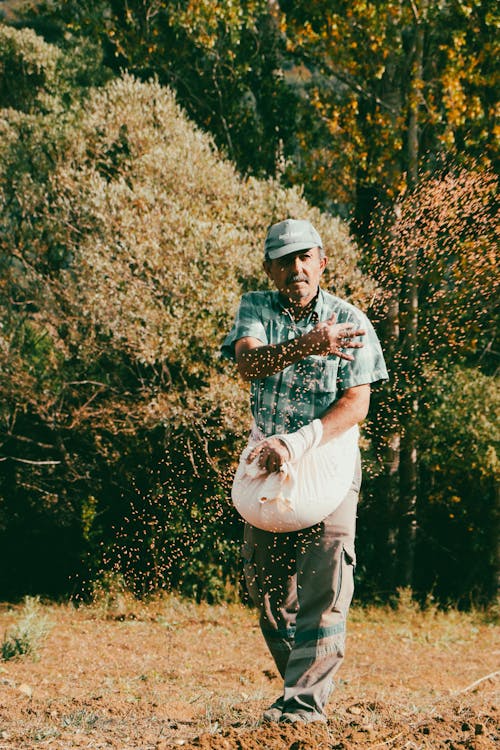 Fotobanka s bezplatnými fotkami na tému dedinský, farma, farmár