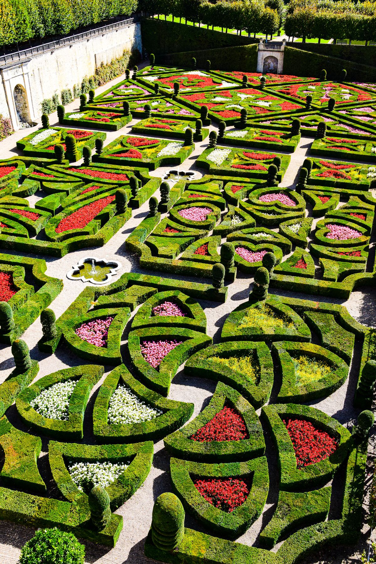 The ornamental box-hedge gardens of Villandry in bloom