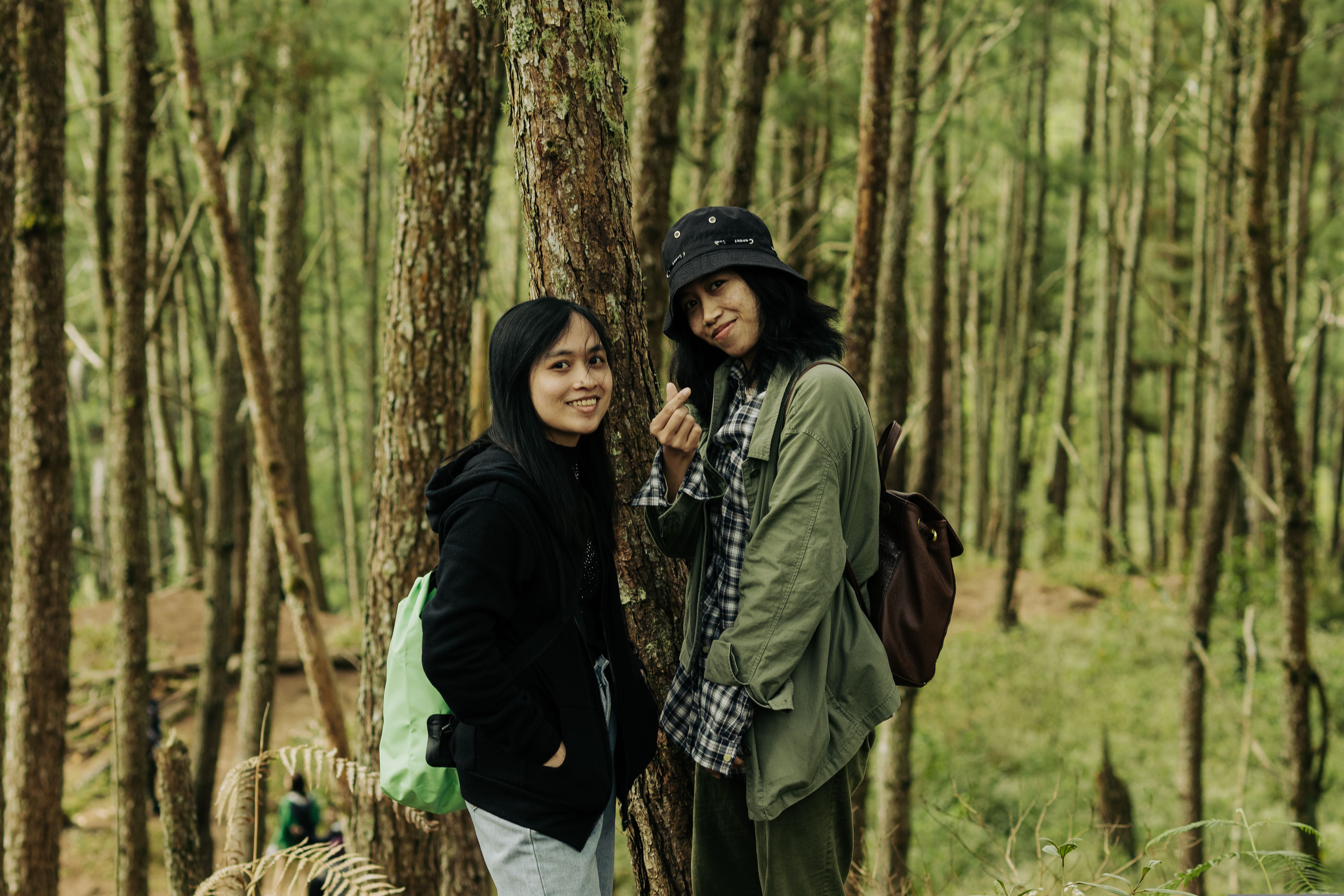 Women Hiking in a Forest · Free Stock Photo