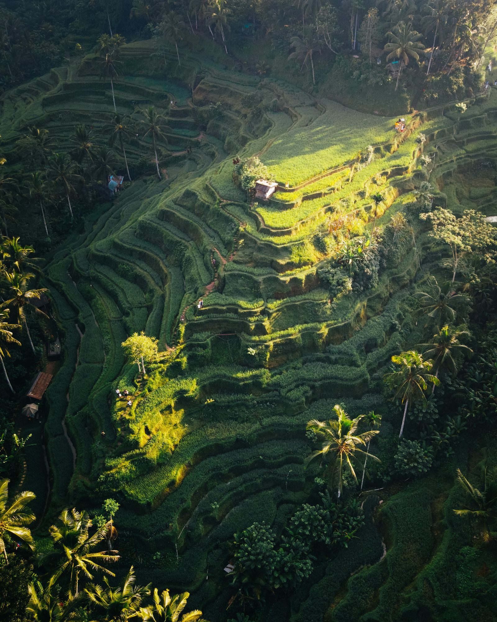 Indonesia