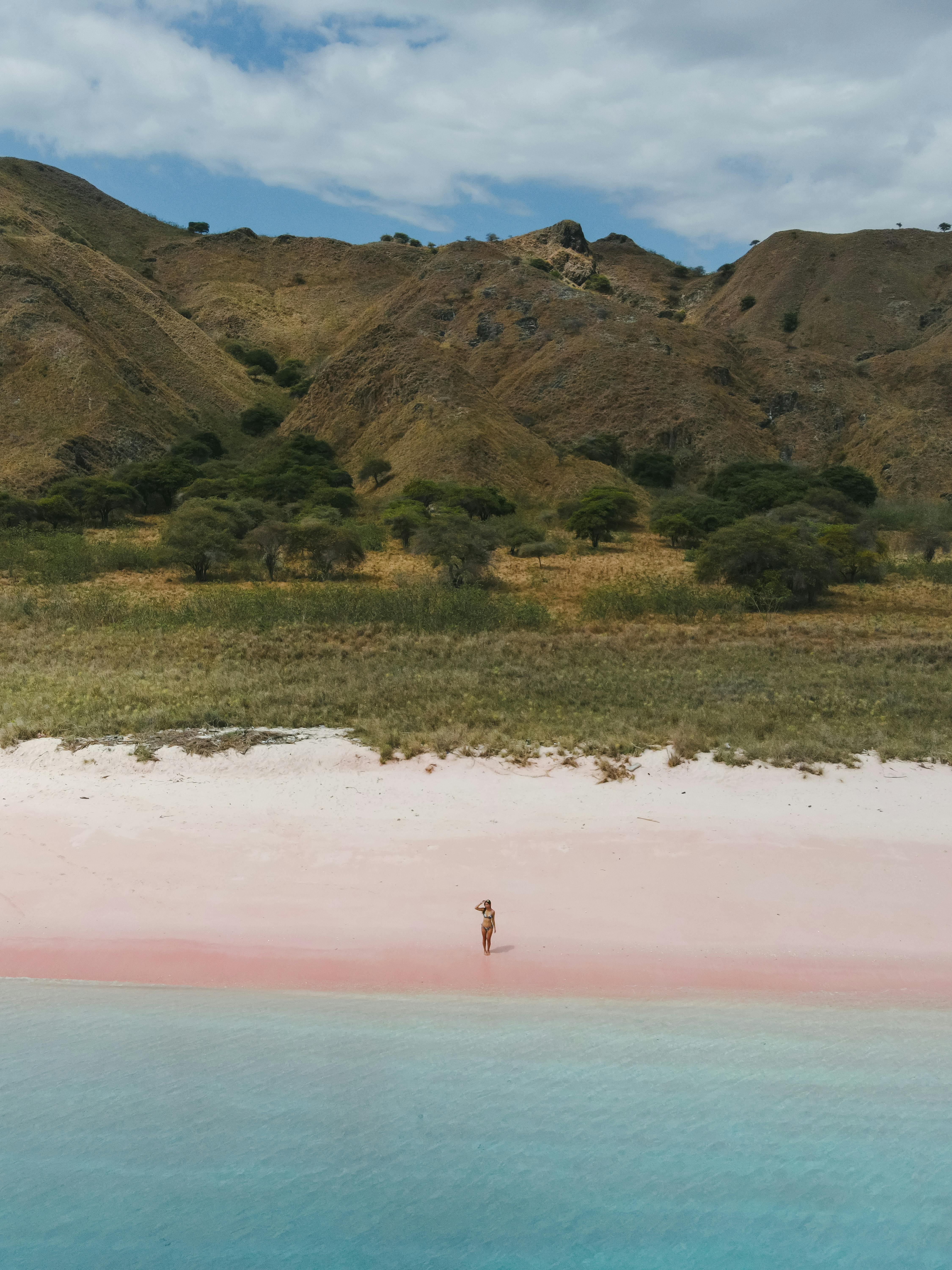 Aerial view of Pink Beach in East Nusa Tenggara, Indonesia, showcasing vibrant colors and serene landscape.
