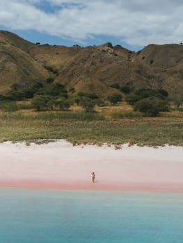 Aerial view of Pink Beach in East Nusa Tenggara, Indonesia, showcasing vibrant colors and serene landscape.