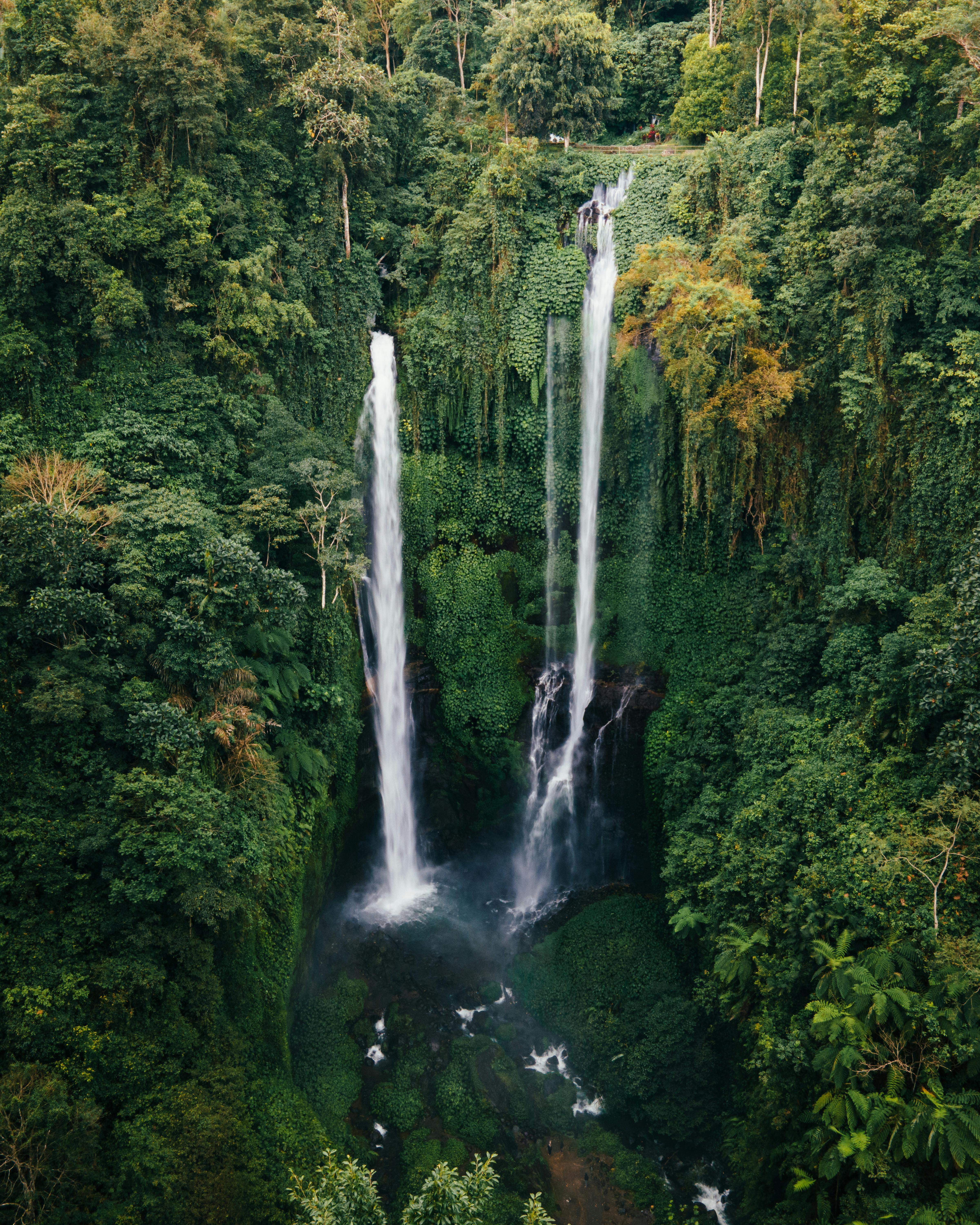 Free Discover the breathtaking beauty of Sekumpul Waterfall surrounded by lush jungle in Bali, Indonesia. Sekumpul Waterfall