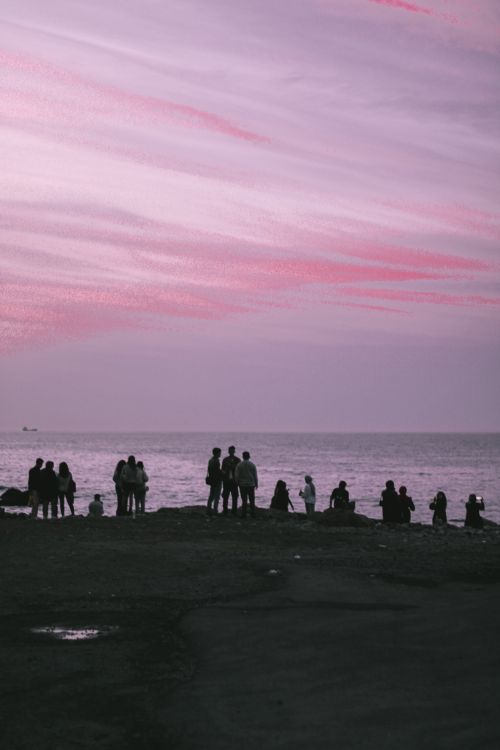 Free Group of people enjoying a serene sunset at the beach in Türkiye, with pink skies and calm sea. Stock Photo